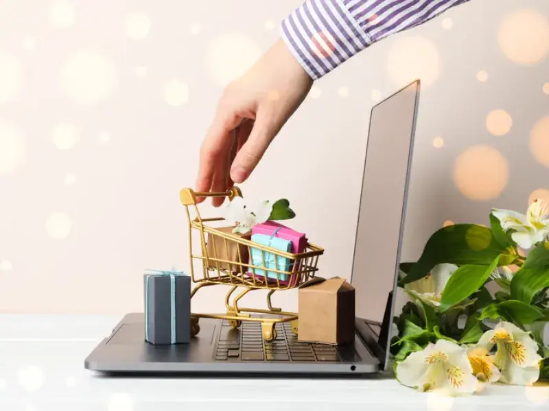 Small Business SEO in Canberra, ACT - SEO-Canberra.com.au