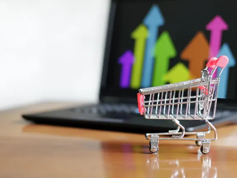 SaaS SEO Services services in Canberra