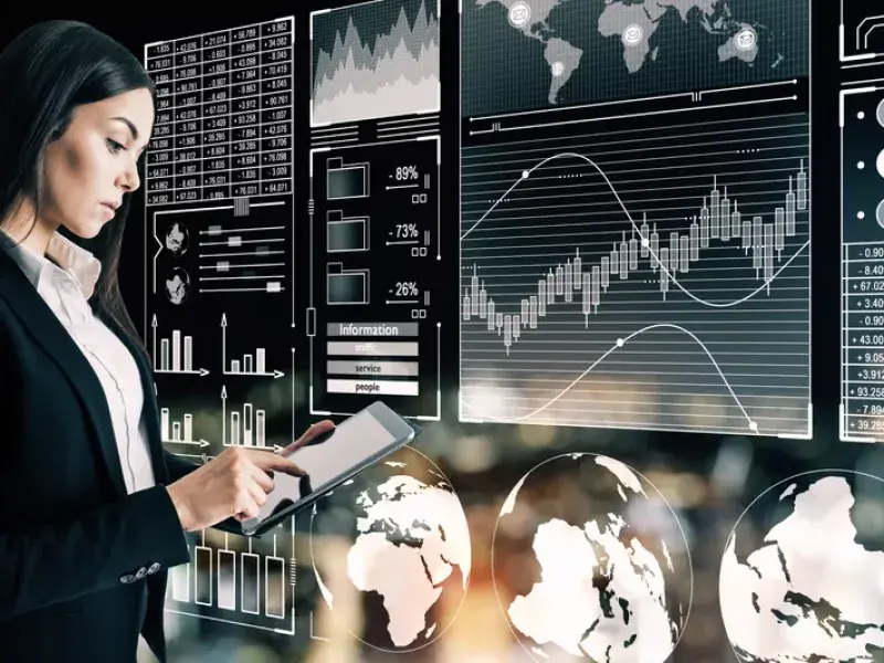 Professional SEO Reporting Dashboard process